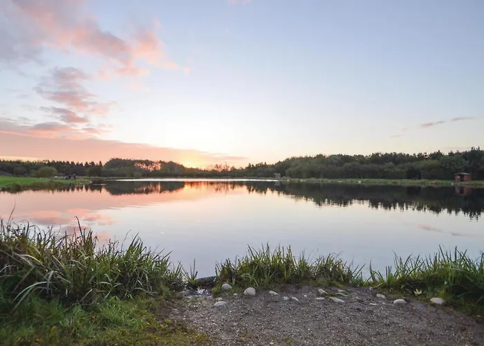 With A Fireplace 01 Toftlund